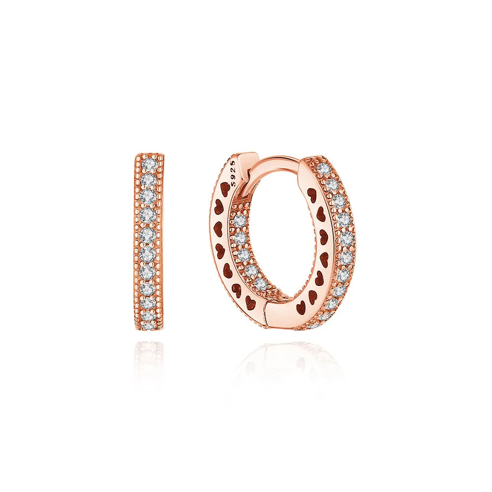 ✨ NBSAMENG Trendy Sterling Silver Stud Earrings ✨